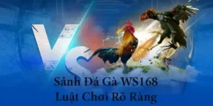 Hướng Dẫn Chơi Đá Gà WS168 Tại AA88 Thắng Lớn Mỗi Ngày