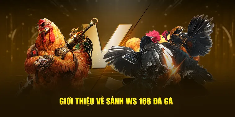 Hướng Dẫn Chơi Đá Gà WS168 Tại AA88 Thắng Lớn Mỗi Ngày