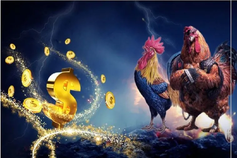 Trải Nghiệm Đá Gà AA88 Đỉnh Cao Săn Thưởng Lớn Ngay Hôm Nay