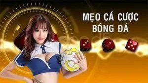 Bí Quyết Cá Cược Bóng Đá AA88 Chuẩn Xác Rước Tài Lộc Về Nhà