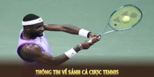 Tuyệt Chiêu Cá Cược Quần Vợt AA88 Bất Bại Dành Cho Người Mới